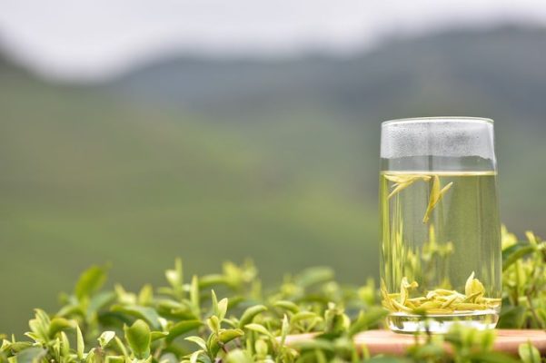trà xanh thực phẩm chống oxy hóa cho làn da